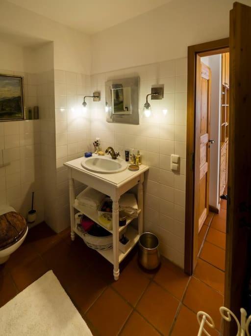 Einliegerwohnung In Einer Muehle Vor Den Toren Frankfurts, Ideal Fuer Messegaeste Oder Stop Over 德莱艾希 外观 照片