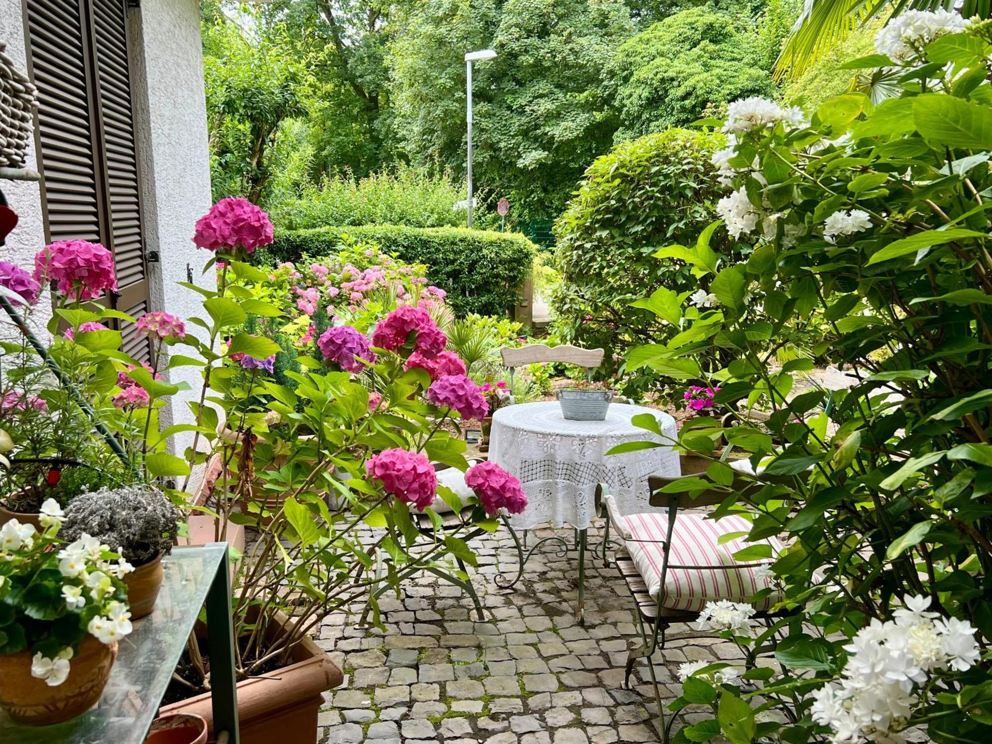 Einliegerwohnung In Einer Muehle Vor Den Toren Frankfurts, Ideal Fuer Messegaeste Oder Stop Over 德莱艾希 外观 照片