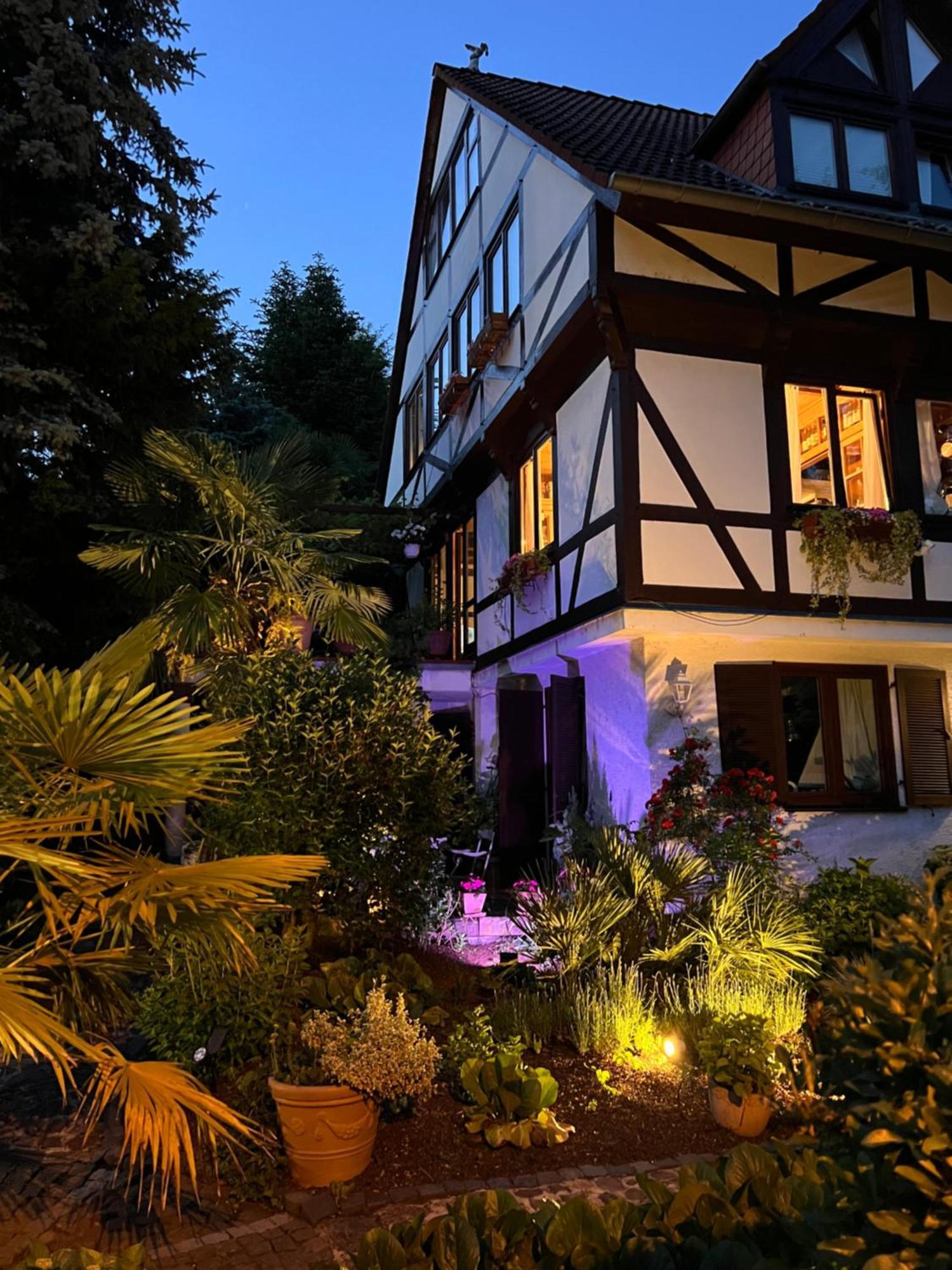 Einliegerwohnung In Einer Muehle Vor Den Toren Frankfurts, Ideal Fuer Messegaeste Oder Stop Over 德莱艾希 外观 照片
