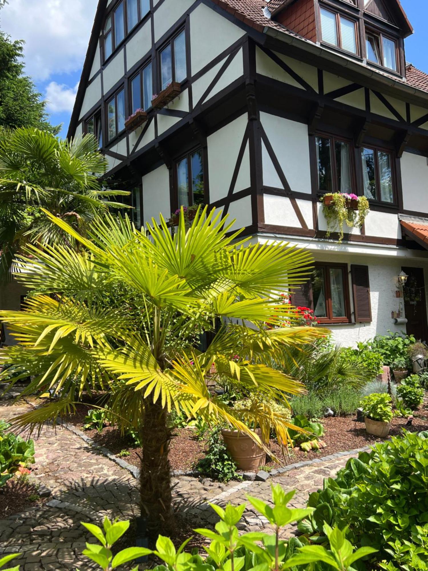 Einliegerwohnung In Einer Muehle Vor Den Toren Frankfurts, Ideal Fuer Messegaeste Oder Stop Over 德莱艾希 外观 照片