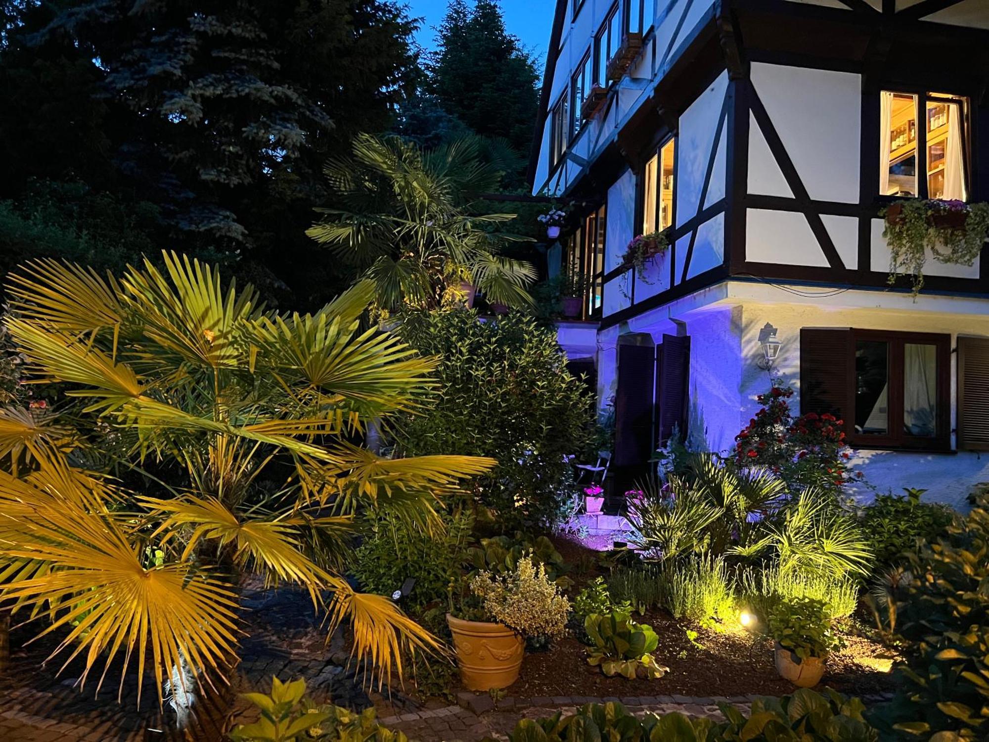 Einliegerwohnung In Einer Muehle Vor Den Toren Frankfurts, Ideal Fuer Messegaeste Oder Stop Over 德莱艾希 外观 照片